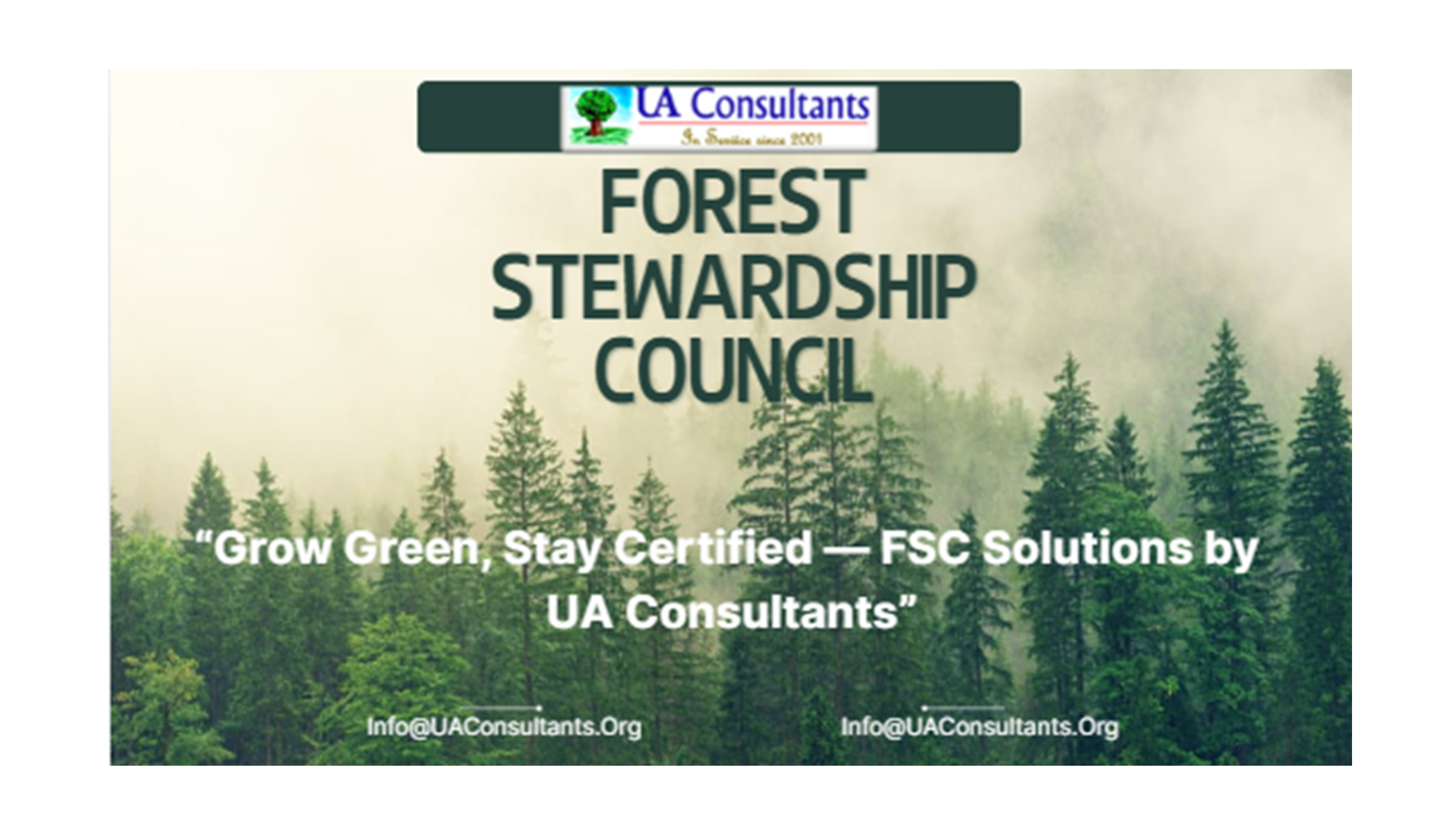 FSC Certification & EUDR Compliance: Strengthening Sustainable Supply Chains