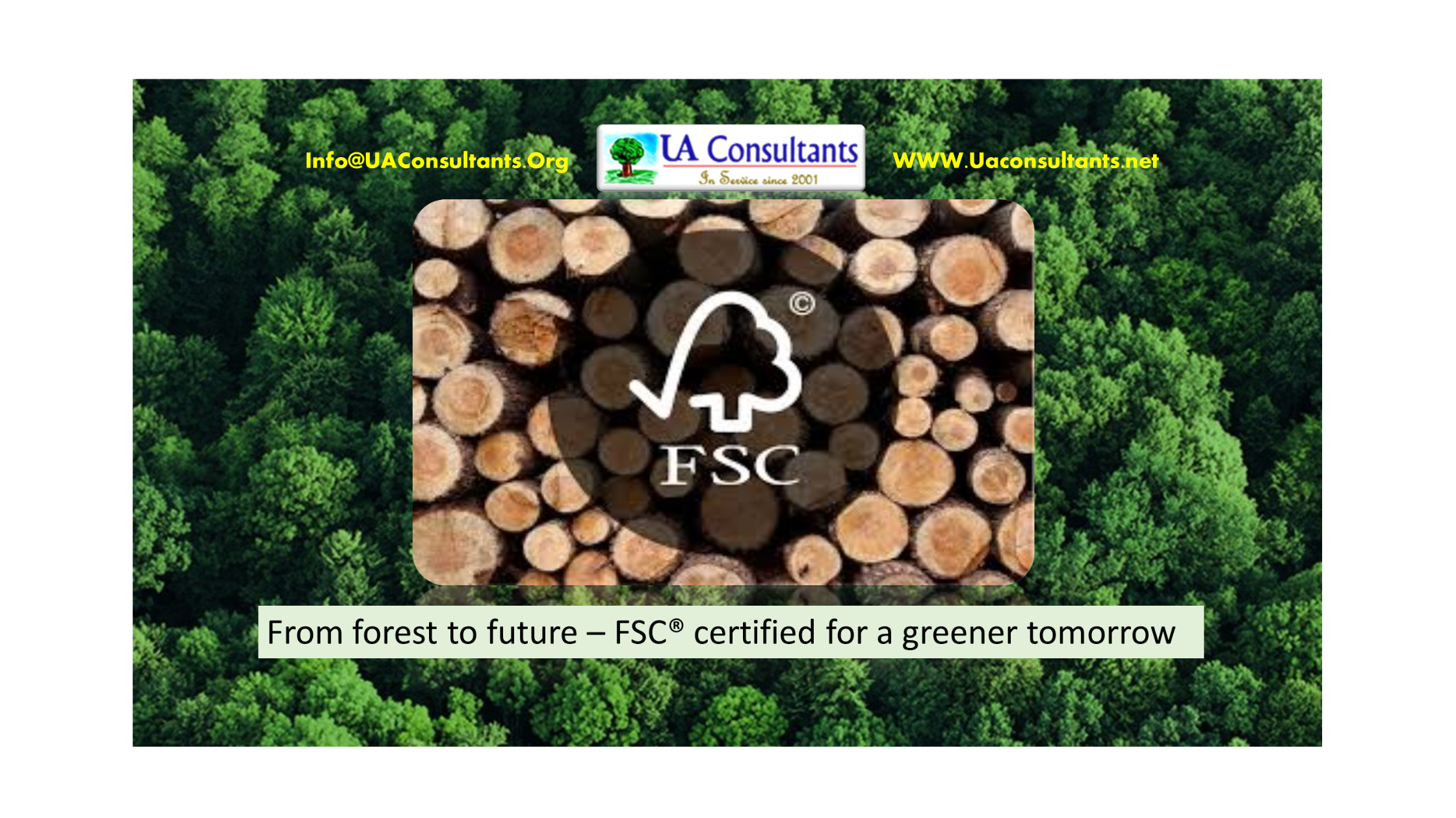 FSC Chain of Custody: Responsible Sourcing, Verified