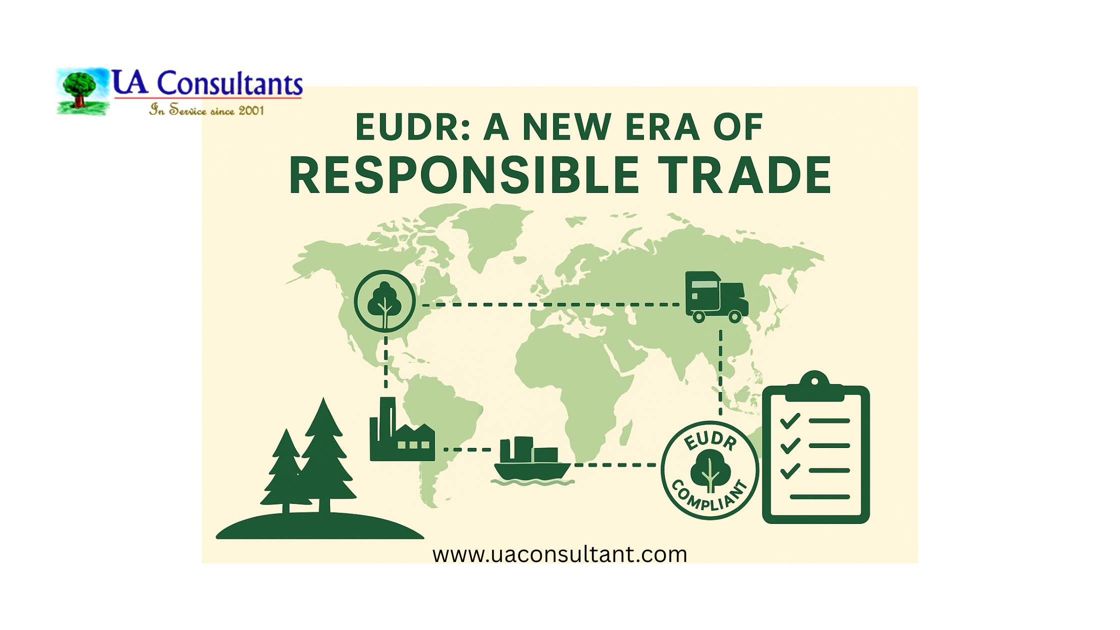 EUDR: A New Era of Responsible Trade for Forest-Based Industries