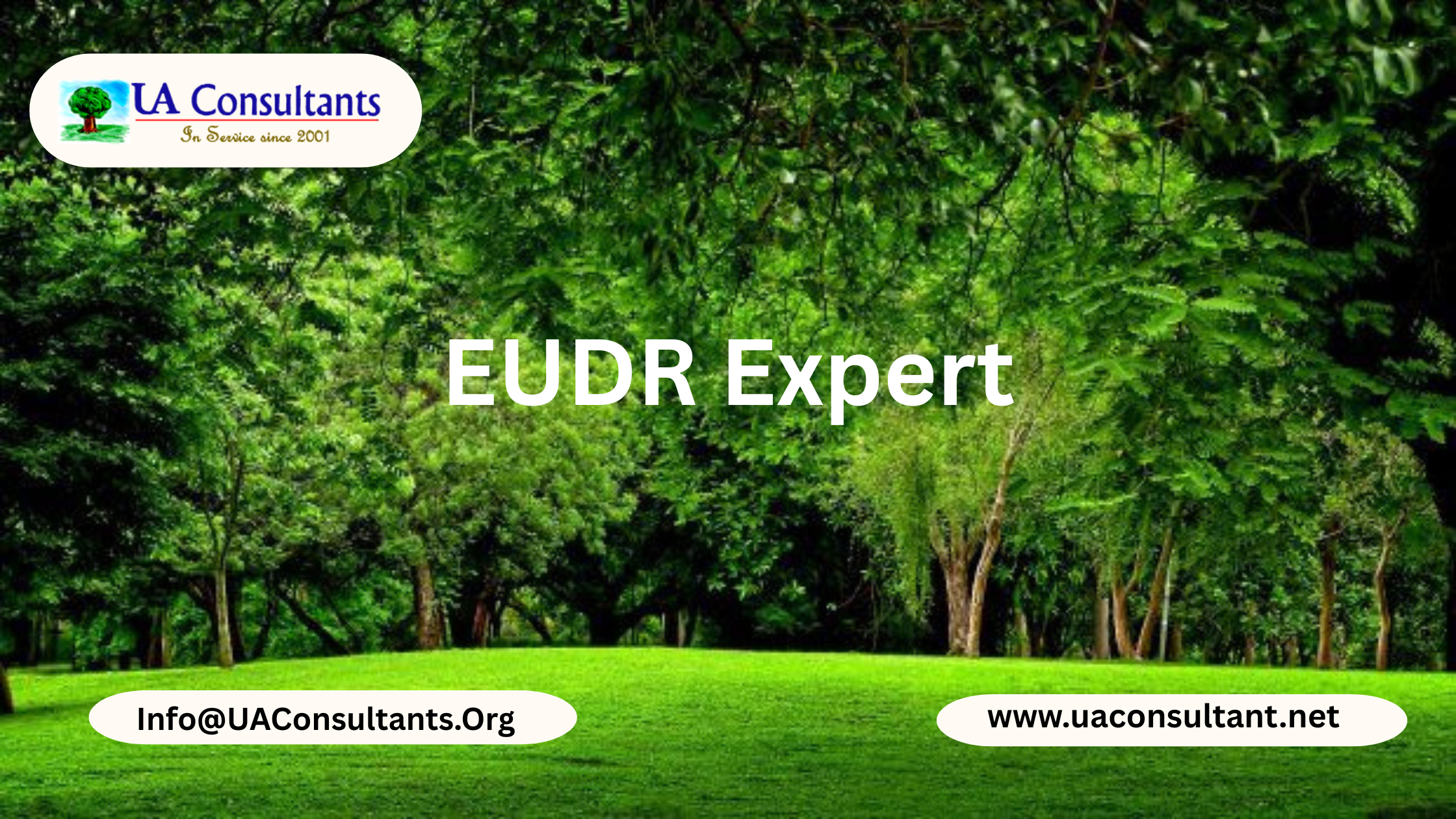 EUDR Expert in India – UA Consultant