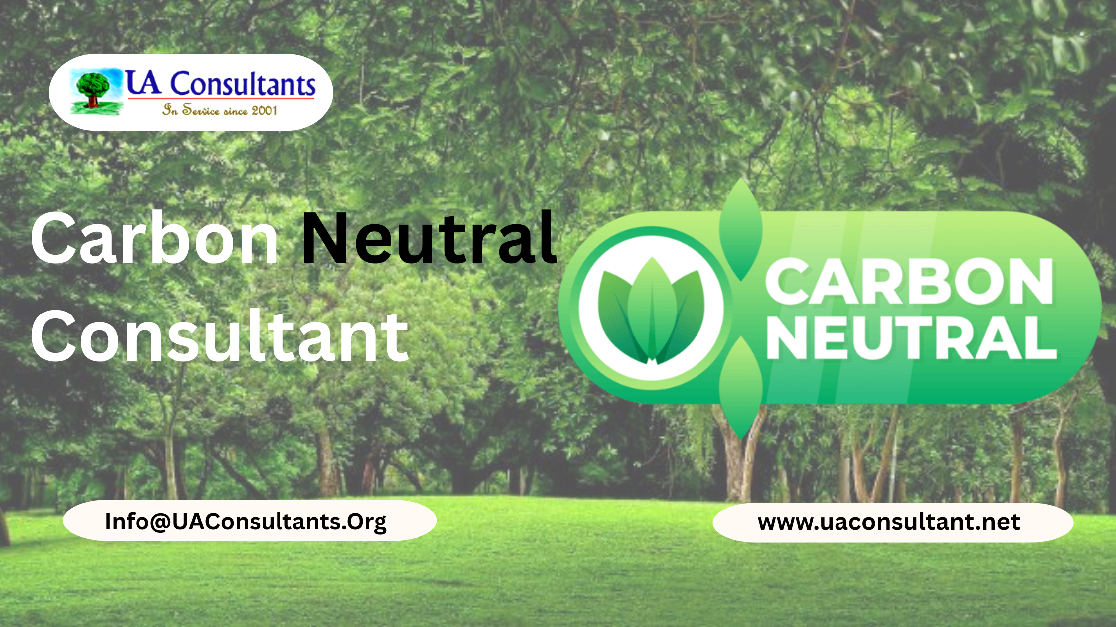 Carbon Neutral Consultant | UA Consultant