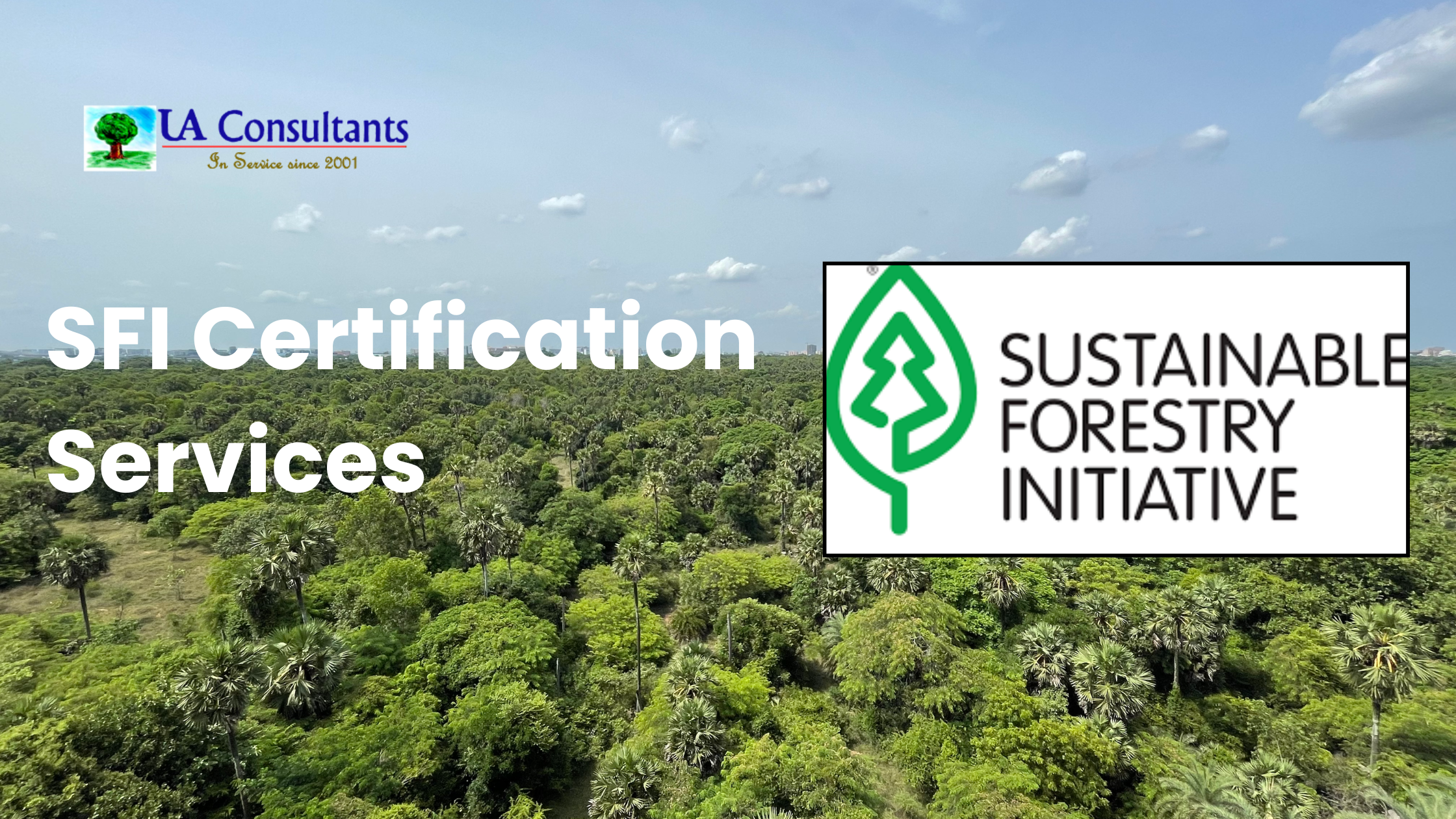 SFI Certification Services | Expert Guidance in India