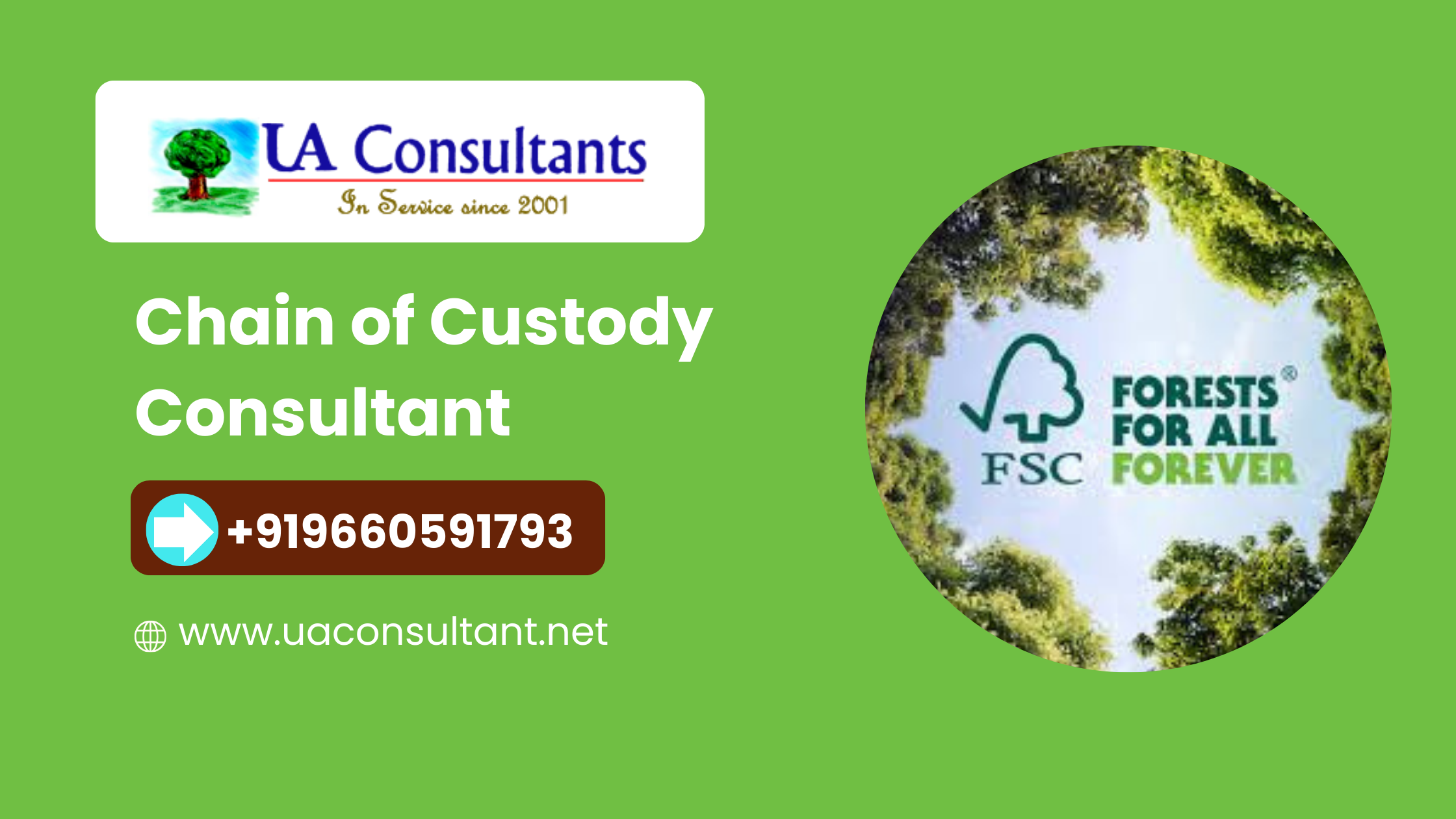 Chain of Custody Consultant | UA Consultant