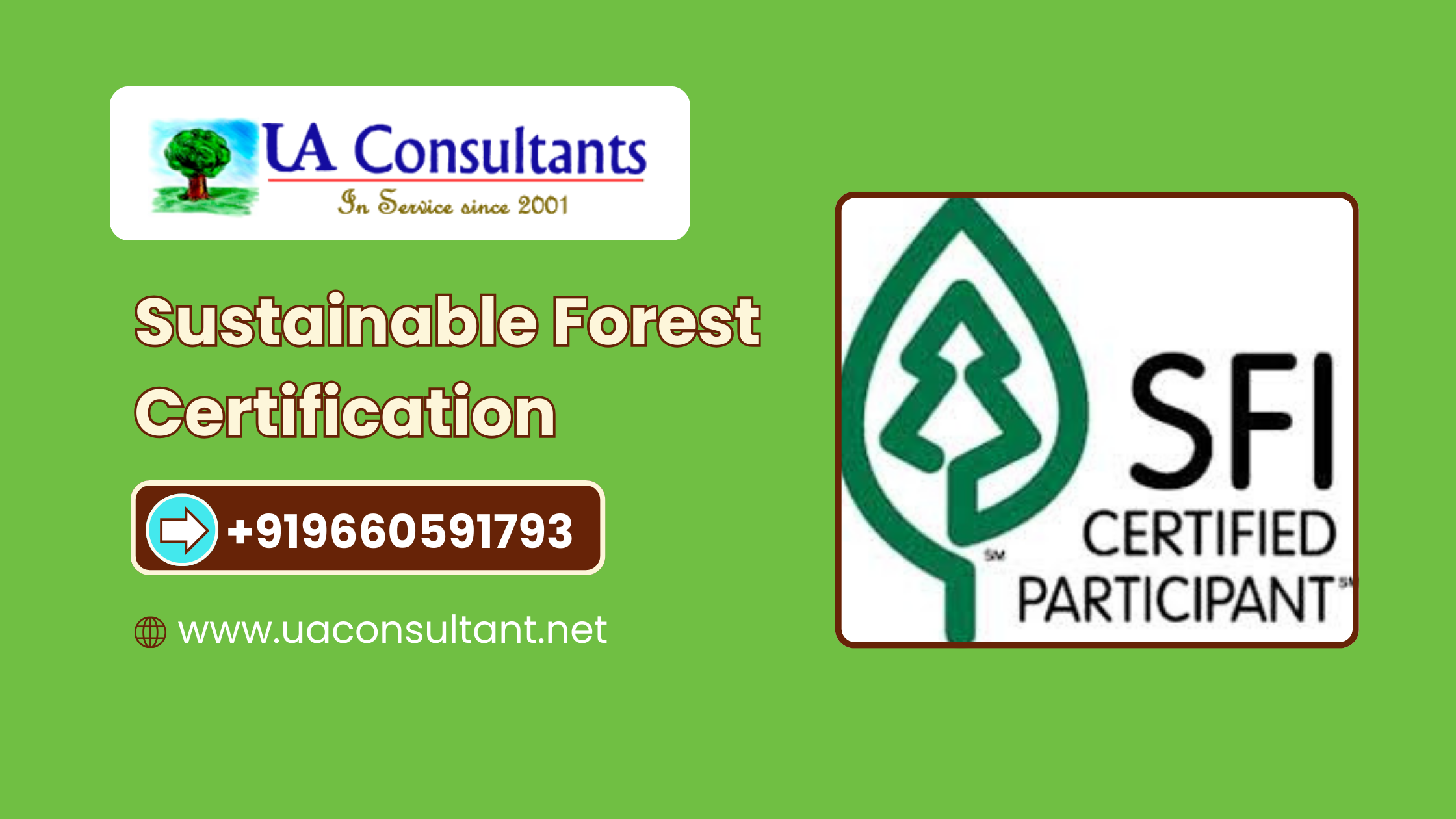 Sustainable Forest Certification | Forest Certification Consultancy